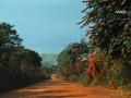 Road to Farm of the Worms, Jaboticatubas, MG