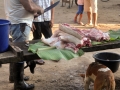 Enrique butchering freshly killed pig, with Junior, Gary, and Maribel